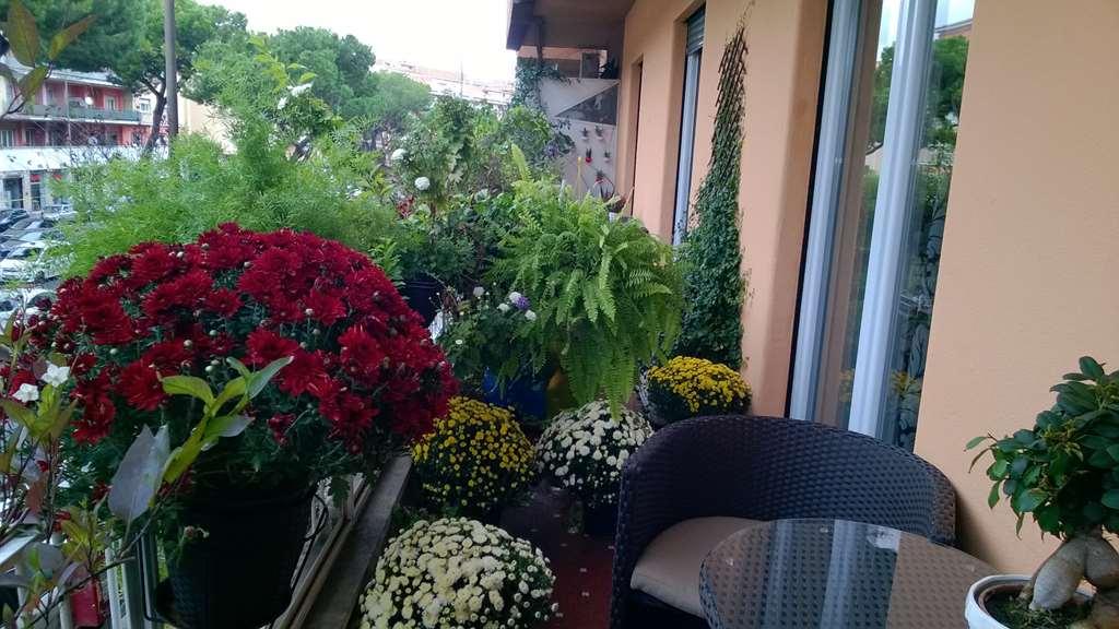 Gasthof Gregorio Vii Luxury 2*